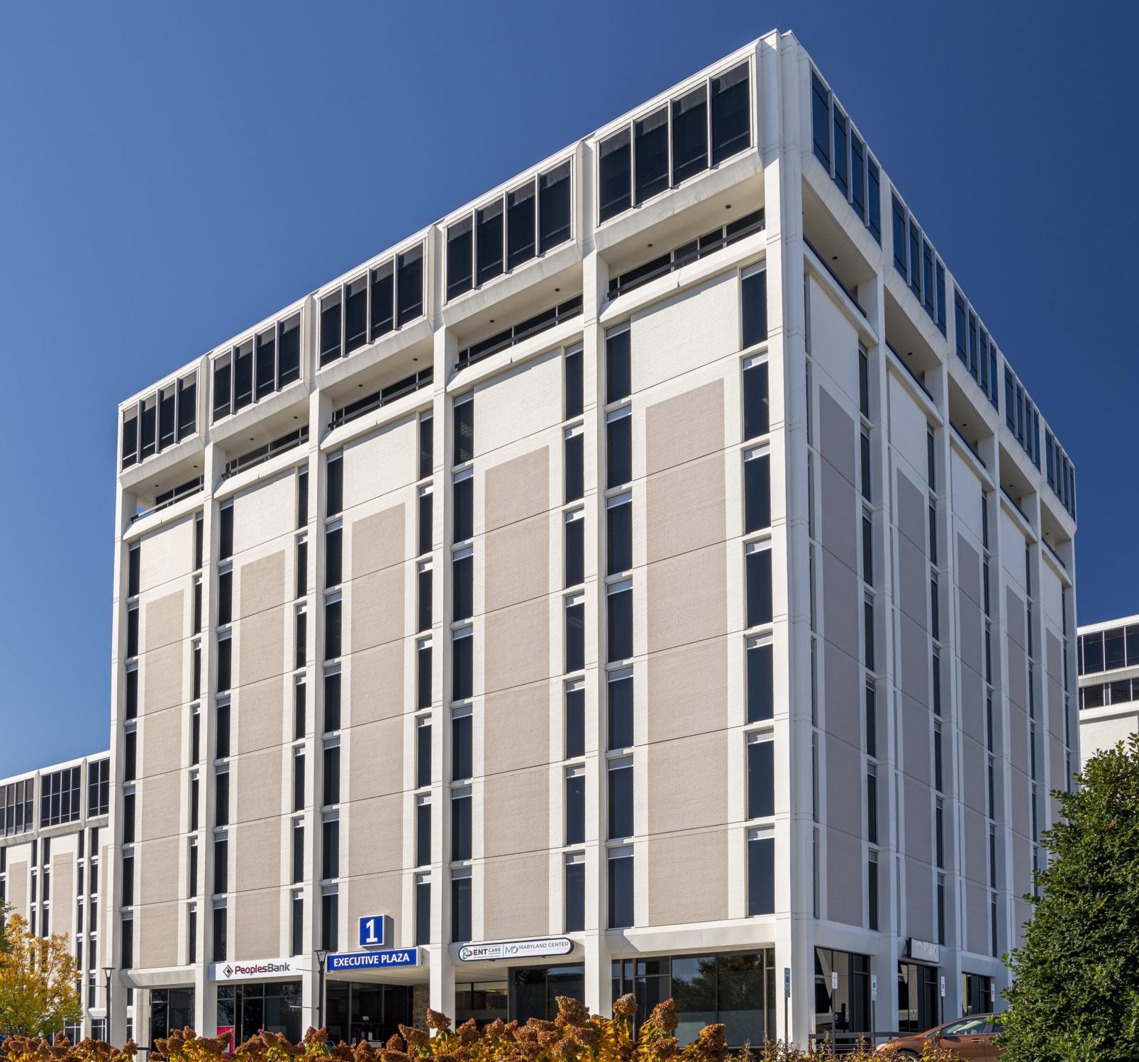 Executive Plaza 1 Hill Management